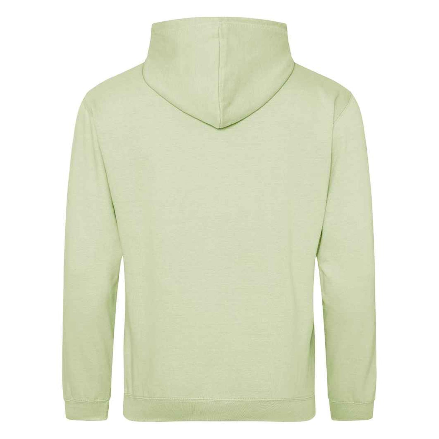 Pistachio - Back - Awdis Mens College Hoodie