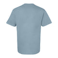 Light Blue - Back - Gildan Unisex Adult Softstyle Midweight T-Shirt