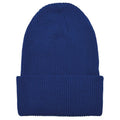 Royal Blue - Front - Flexfit Unisex Adult Knitted Recycled Yarn Beanie