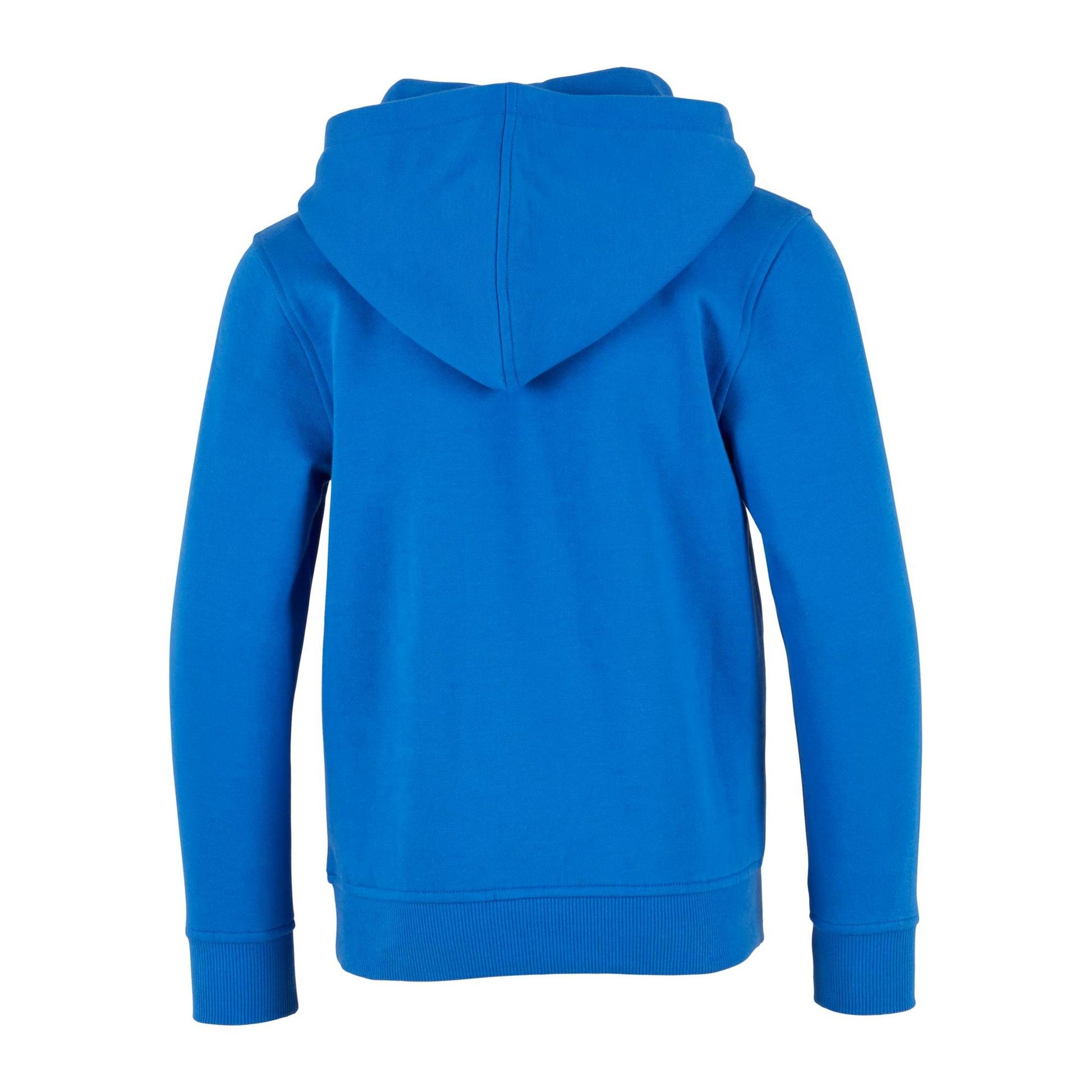 Intense Blue - Back - Build Your Brand Childrens-Kids Basic Organic Hoodie