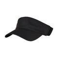 Black - Back - Flexfit Unisex Adult Performance Visor Cap