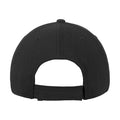 Black - Back - Flexfit Unisex Adult Pro-Formance Cap