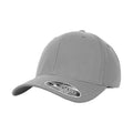 Grey - Front - Flexfit Unisex Adult Pro-Formance Cap