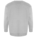 Grey - Back - Ecologie Unisex Adult Crater Recycled Sweatshirt