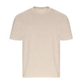 Stone - Front - Ecologie Unisex Adult Arrow Heavy Oversized T-Shirt
