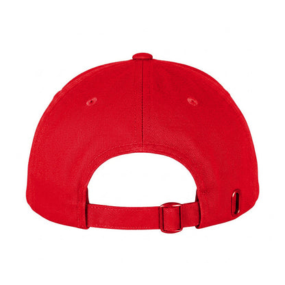 Red - Back - Flexfit 110 Snapback Cap