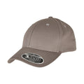 Grey - Front - Flexfit 110 Snapback Cap
