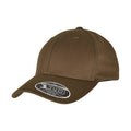 Olive - Front - Flexfit 110 Snapback Cap