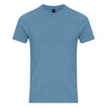 Baby Blue - Front - Gildan Unisex Adult Enzyme Washed T-Shirt