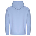 Sky Blue - Back - Awdis Womens-Ladies Organic Cotton Hoodie