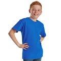 Royal Blue - Lifestyle - Fruit of the Loom Childrens-Kids Iconic 195 Plain T-Shirt