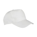 White - Back - Result Unisex Adult Core Recycled Baseball Cap