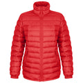 Red - Front - Result Urban Womens-Ladies Ice Bird Padded Jacket