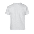 Ash - Back - Gildan Childrens-Kids Heavy Cotton T-Shirt