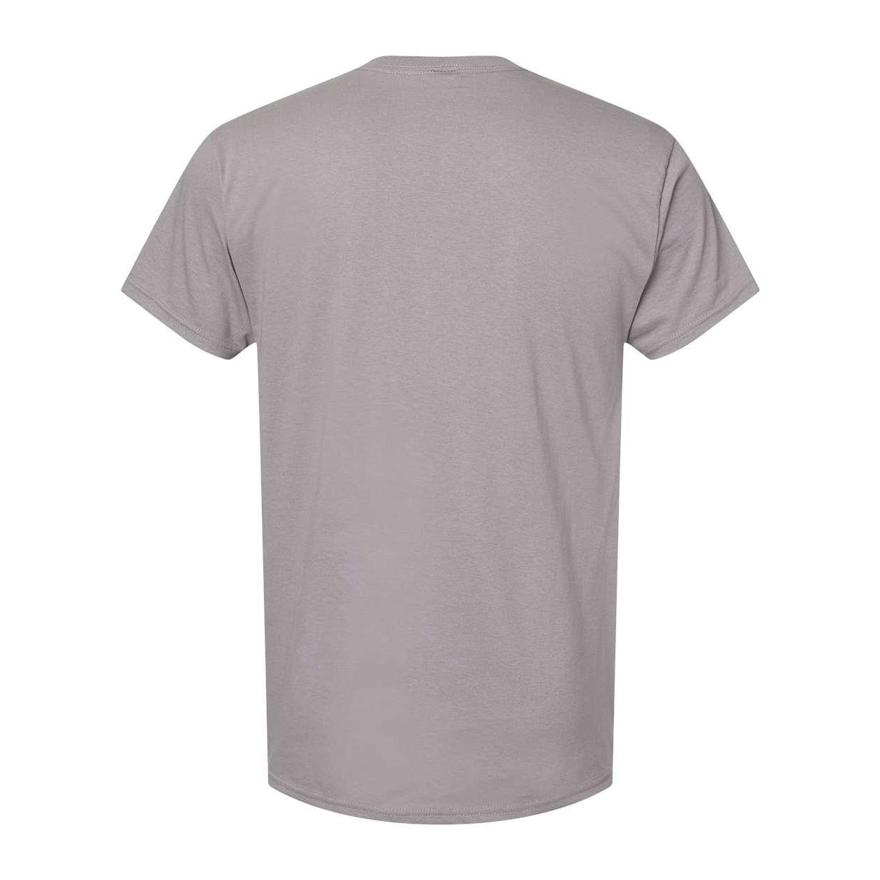 Graphite - Back - Hanes Essential-T T-Shirt