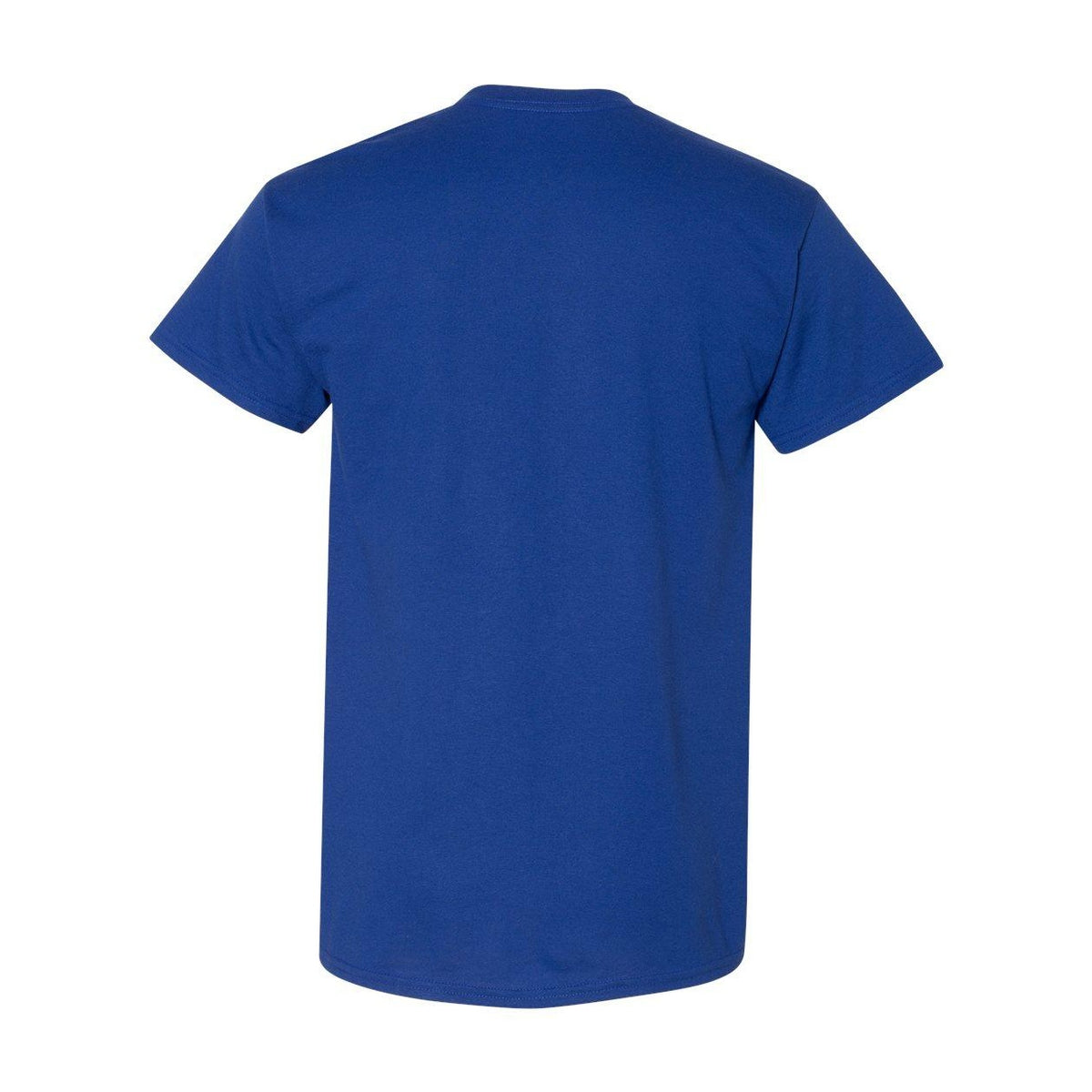 Sport Royal - Back - Gildan DryBlend T-Shirt