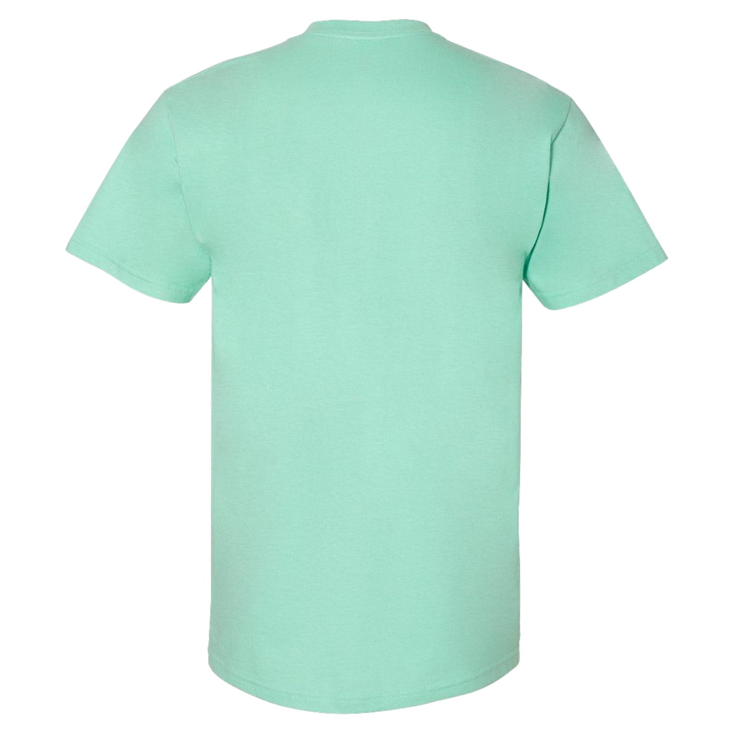 Island Reef - Back - Gildan Hammer T-Shirt