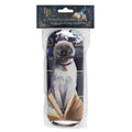 Various - Lifestyle - Lisa Parker Hocus Pocus Glasses Case