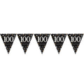 Prism - Back - Amscan Sparkling Celebration Pennant Banner