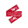 Red-White - Front - Liverpool FC Champions Scarf