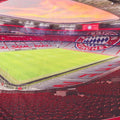 Multicoloured - Back - FC Bayern Munich Stadium Beach Towel