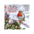 Multicoloured - Back - Eurowrap Seasons Greetings Robin Christmas Card (Pack of 12)
