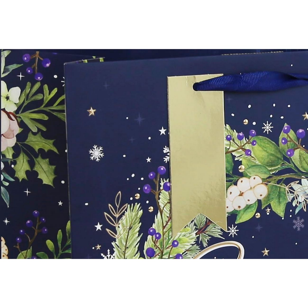 Blue-Green-White - Back - Eurowrap Seasons Greetings Embossed Christmas Gift Bag (Pack of 12)