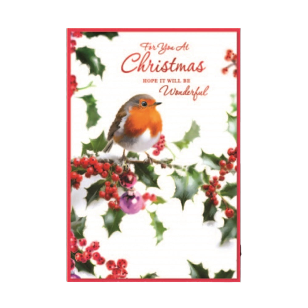 Multicoloured - Front - Simon Elvin Open Robin Christmas Greetings Card (Pack of 6)