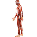 Red - Side - Smiffys Mens Anatomy Man Costume