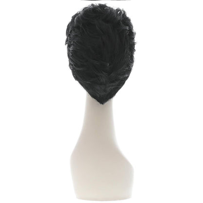 Black - Back - Grease Mens Danny Zuko Wig