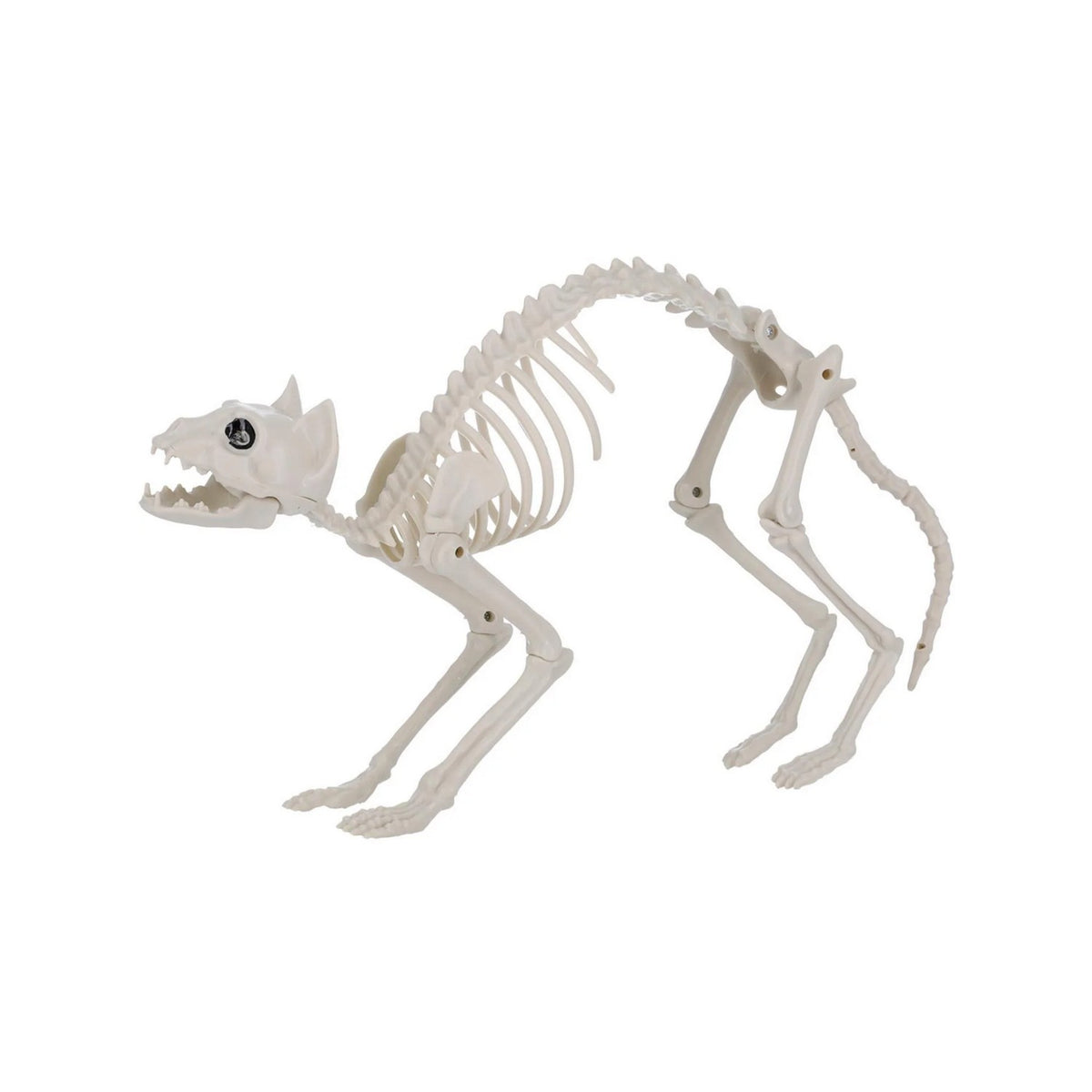 Natural - Back - Smiffys Cat Skeleton Prop