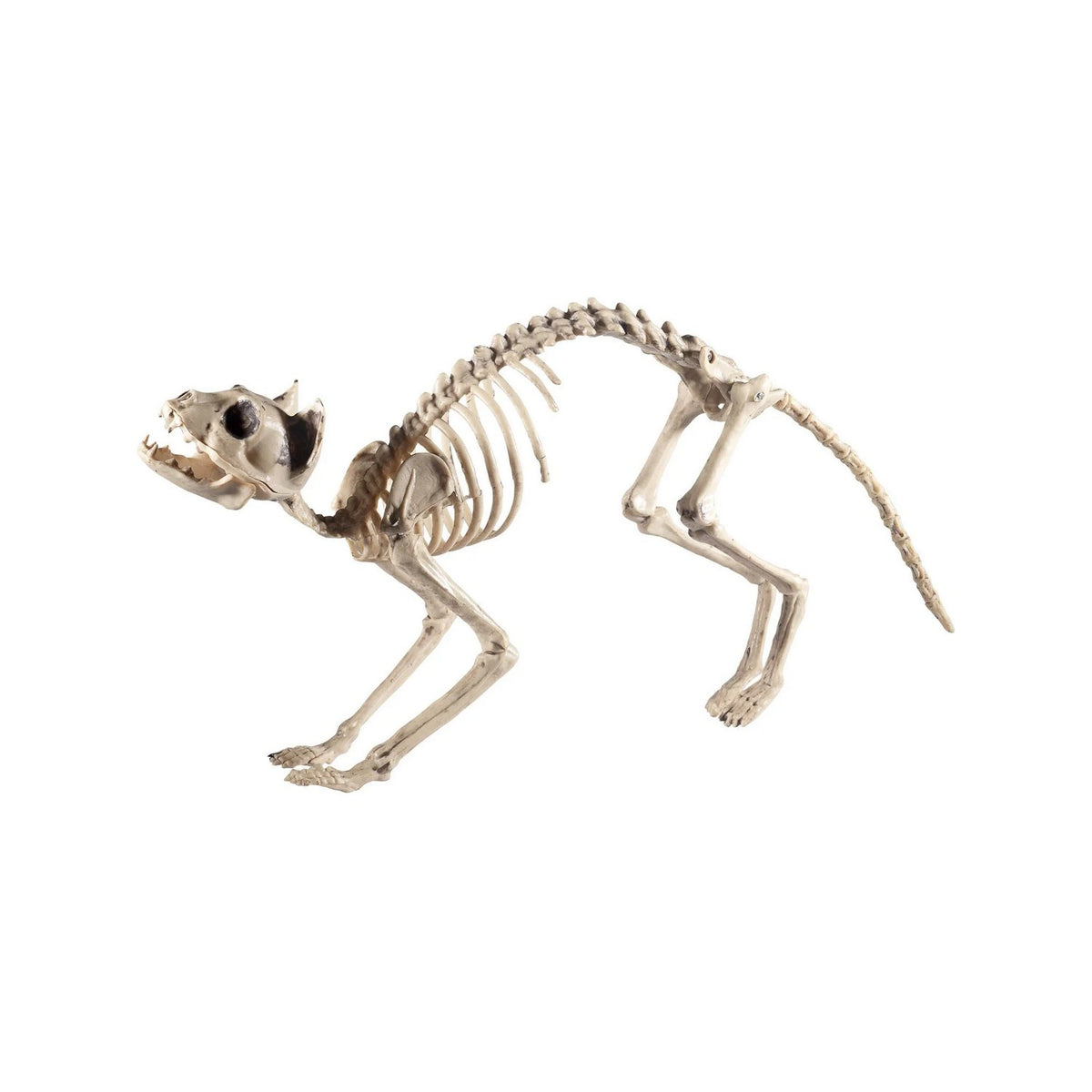 Natural - Side - Smiffys Cat Skeleton Prop