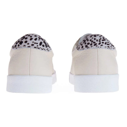 Beige Gesso - Back - Superga Womens-Ladies 2843 Club S Dalmatian Print Tumbled Leather Trainers