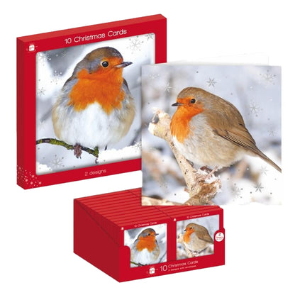 Multicoloured - Back - IG Design Square Robin Christmas Greetings Card (Pack of 10)