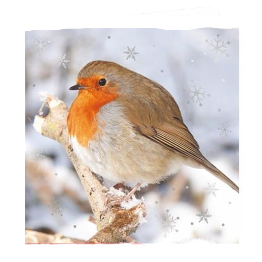 Multicoloured - Front - IG Design Square Robin Christmas Greetings Card (Pack of 10)