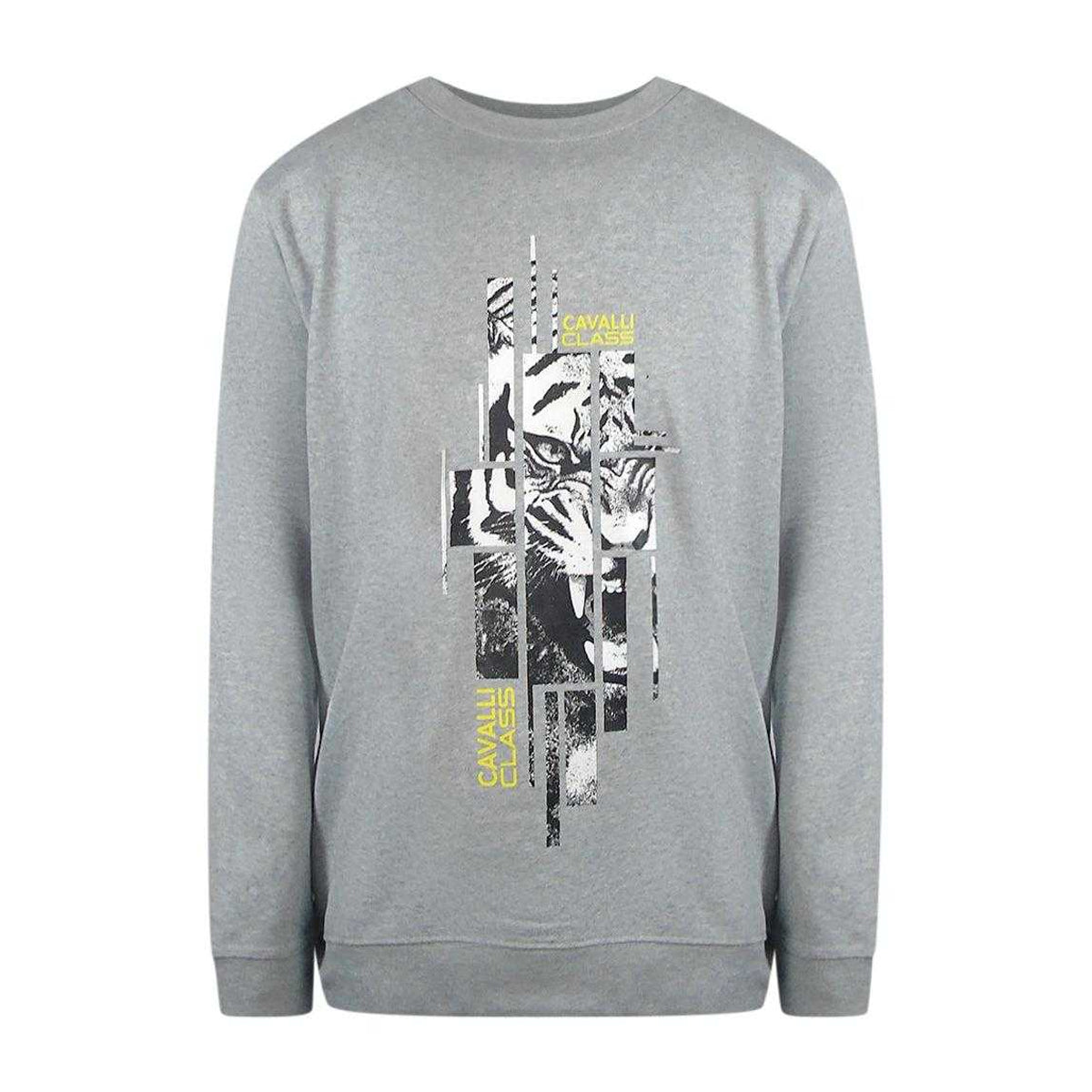 Graphic Grey - Front - Cavalli Class Unisex Adult Splintered Tiger Sweatshirt