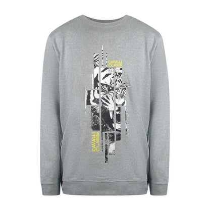 Graphic Grey - Front - Cavalli Class Unisex Adult Splintered Tiger Sweatshirt