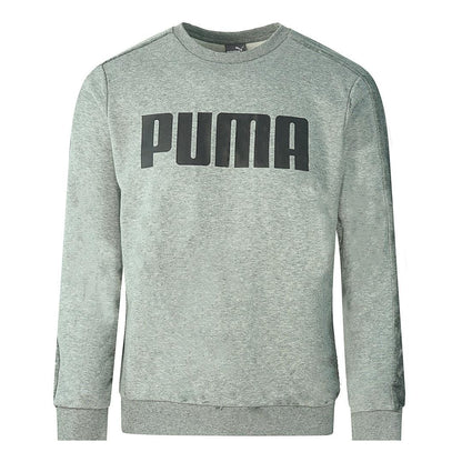 Grey - Front - Puma Unisex Adult Logo Velvet Taped Sweatshirt
