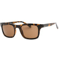 Brown - Back - Calvin Klein Tortoise Sunglasses