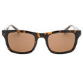 Brown - Front - Calvin Klein Tortoise Sunglasses