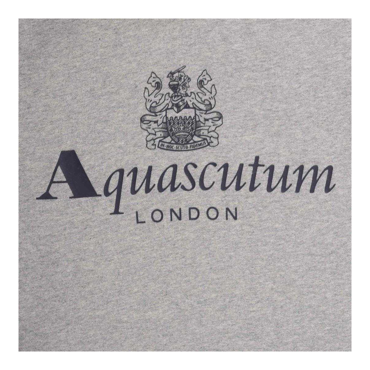 Light Grey - Side - Aquascutum Mens Active Big Logo Hoodie
