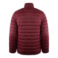 Red - Back - Aquascutum Mens Logo Padded Jacket