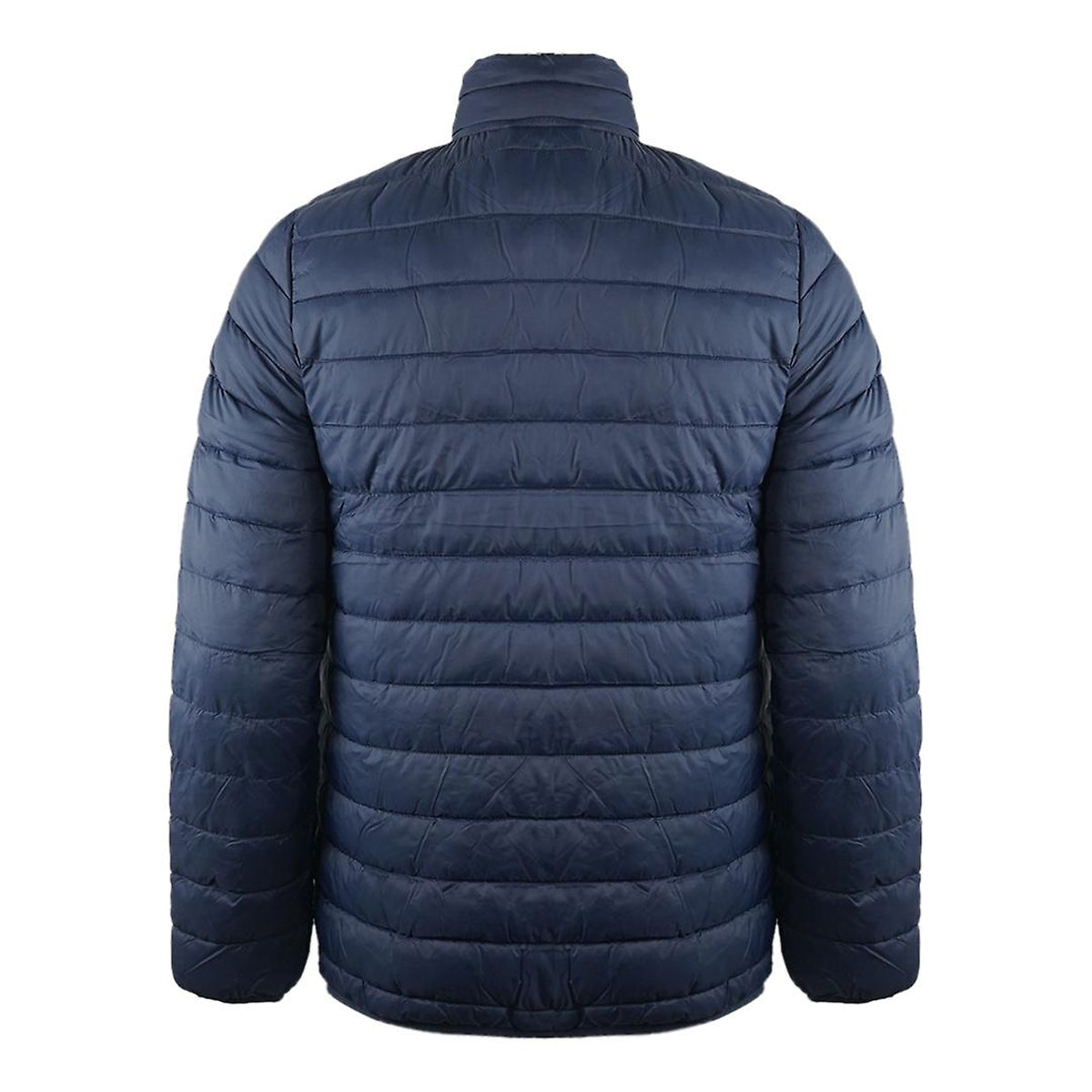 Navy Blue - Back - Aquascutum Mens Logo Padded Jacket
