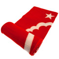 Red-White - Back - Nottingham Forest FC Fleece Pulse Blanket