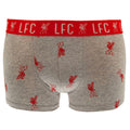 Grey-Black-Red - Back - Liverpool FC Mens Boxer Shorts Set (Pack of 2)