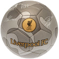Silver-Grey - Front - Liverpool FC Camo Football