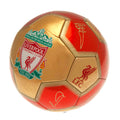 Red-Gold - Side - Liverpool FC YNWA Signature Football