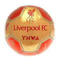 Red-Gold - Front - Liverpool FC YNWA Signature Football