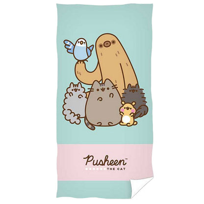 Mint Green-Pink - Front - Pusheen Characters Soft Touch Beach Towel