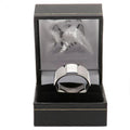 Steel - Back - Manchester City FC Band Ring